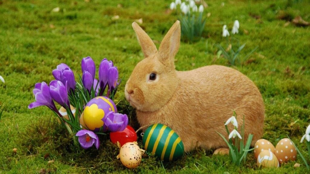 Coelho da Páscoa