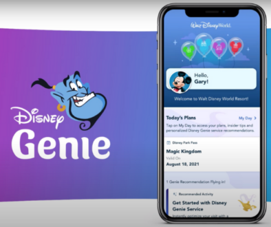 Disney Genie Service